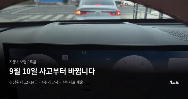 자동차보험 8주룰, 9월 10일 사고부터 이렇게 바뀝니다